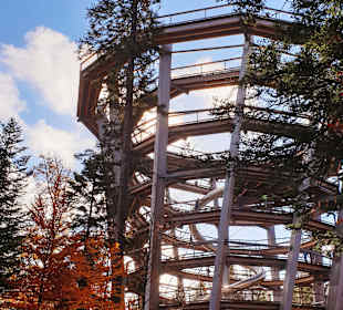 Baumwipfelpfad Schwarzwald