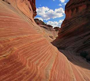 The Wave - Vermillion Cliffs