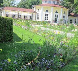 Ebertpark Ludwigshafen