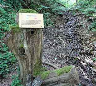 Brunnenweg Pfaffenhofen