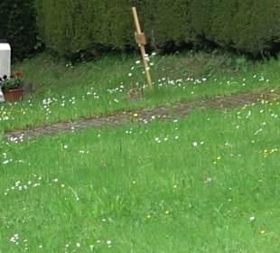 Friedhof Unteriflingen