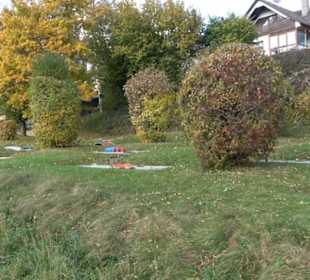Minigolfanlage Streichen