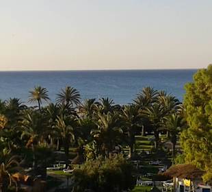 Hotelgarten von oben