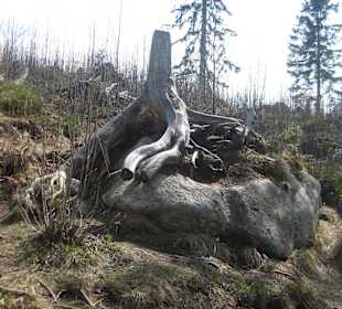 Strbske Pleso