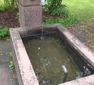 Dorfbrunnen Grüntal