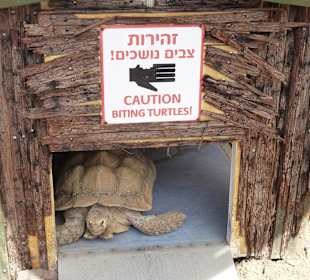 Mir ist es zu heiß da draußen