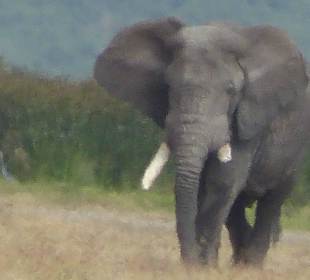 Noch weiter entfernt