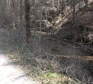 Geologischer Lehrpfad Kirnbachtal
