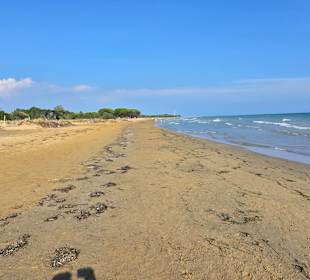 Viele Sportler auch unterwegs