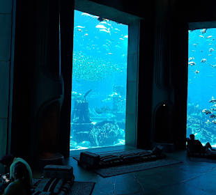 Dubai Aquarium
