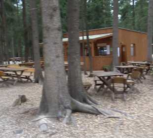 Dinosaurier Museum Altmühltal