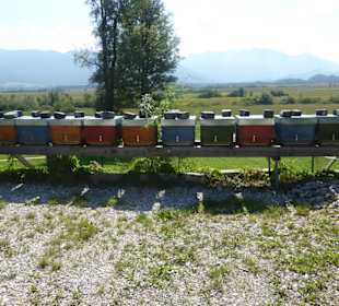 Wandern Murnau am Staffelsee