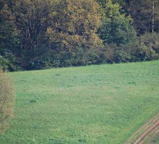 Der einzige schwierige Abschnitt der Radtour