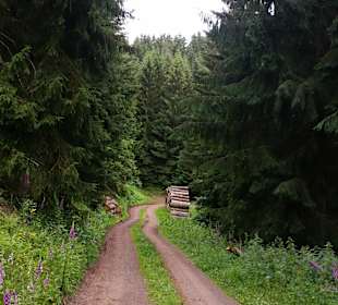 Umgebung Friedrichroda