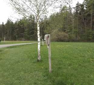 Lehrpfad Bäume des Jahres