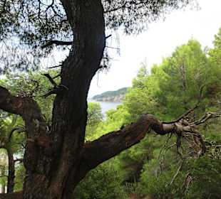 Vom Wanderweg Richtung Hotel Club Calimera Simantro Beach