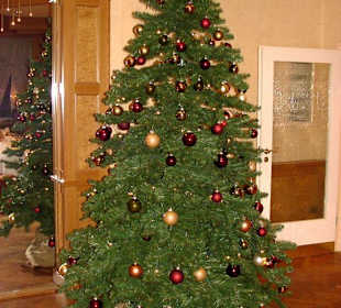 Weihnachtsbaum im Brackweder Hof