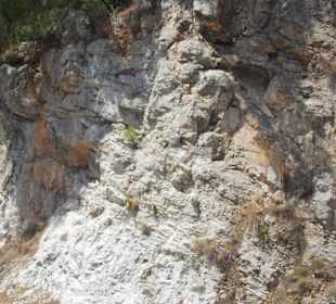  Аланийская крепость