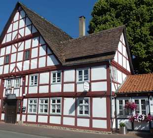 Im Zentrum, Am Thy 16