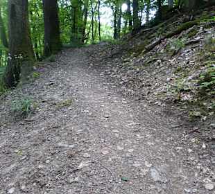 Anstiege mit ca. 300 Höhenmetern insgesamt