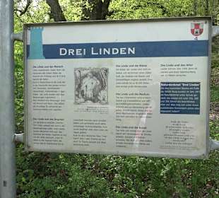 Drei Linden