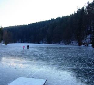 Am See bei der Rodelbahn