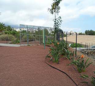 Die Pyramiden von Güimar