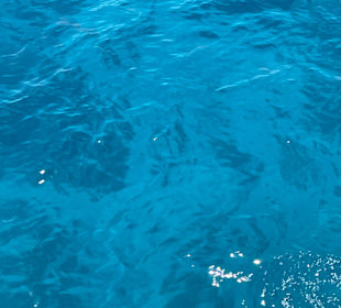 Delphin Tour 