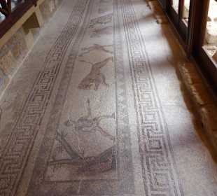 Mosaiken im Haus des Dionyssos