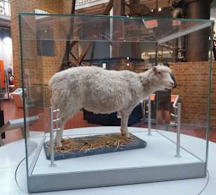 National Museum of Scotland