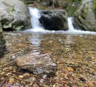 Wandern Drachselsried