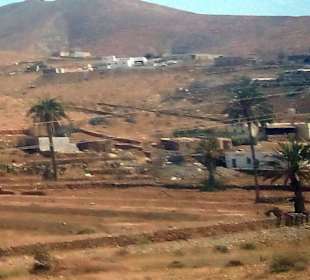 Ecomuseo La Alcogida in La Oliva