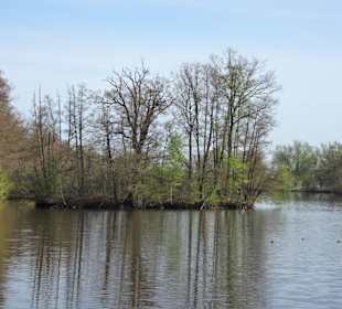 Impressionen vom Weg um den Hasportsee