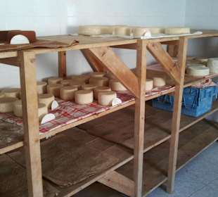 Auf der Ziegenfarm-gelagerter Käse