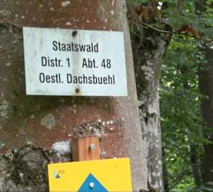 Sonnenaufgangs-Rundwanderung Rübgarten