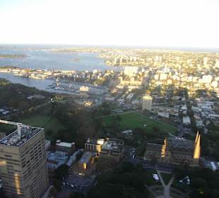 Sydney Tower