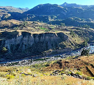 Colca-Canyon