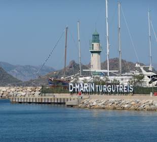 D-Marin Turgutreis...