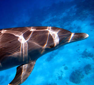 Bilder vom 13.10.16 von mir geschossen