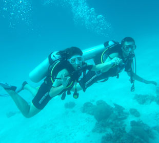 Beim zweiten Tauchgang