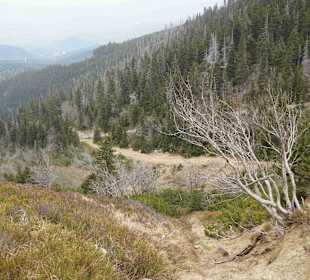 Berg Schneekoppe/Śnieżka