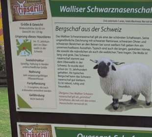 Erlebnispark Tripsdrill