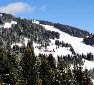 Blick auf die Thurneralm