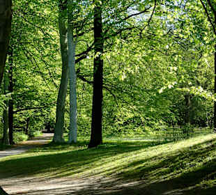 Spaziergang durch den Park Höpkensruh