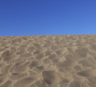 Dünensand