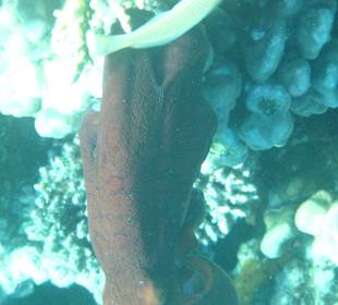 Es ist alles zu sehen