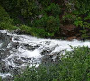 Mount Rainier National Park