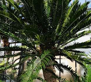 Anlage Planten un Blomen