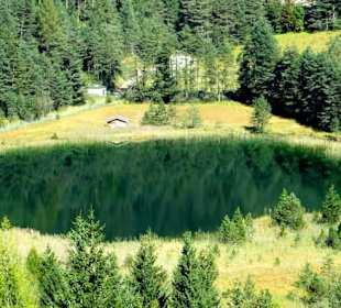 Der See - eingebettet zwischen Bäumern auf 1021 m 