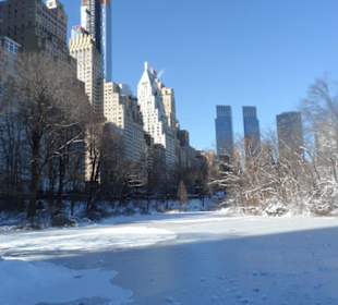 Central Park - 2 Tage später